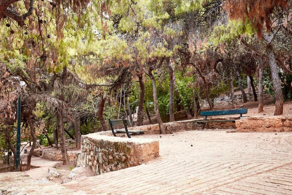 Апартаменти Myth1 Hike Around Kalimarmaron, Panathinaic Stadium And Big Alsos Park Афіни Екстер'єр фото